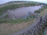 舟橋付近のカメラ画像
