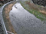 金目川 観音橋付近のカメラ画像