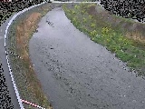 観音橋付近のカメラ画像