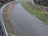 観音橋付近のカメラ画像