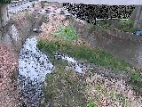 不動川 泉橋付近のカメラ画像