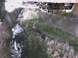不動川 泉橋付近のカメラ画像