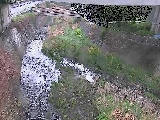 泉橋付近のカメラ画像
