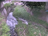 泉橋付近のカメラ画像