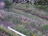 東橋付近のカメラ画像