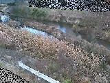 鈴川 東橋付近のカメラ画像