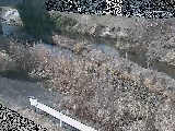 鈴川 東橋付近のカメラ画像