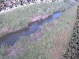 岡崎橋付近のカメラ画像