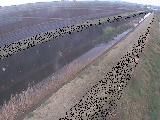 善波川 矢茂井橋付近のカメラ画像