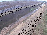 善波川 矢茂井橋付近のカメラ画像