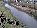 鈴川 玉川橋付近のカメラ画像