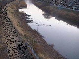 新大縄橋付近のカメラ画像