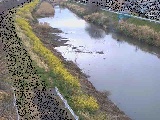渋田川 新大縄橋付近のカメラ画像