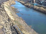 新大縄橋付近のカメラ画像