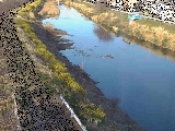 新大縄橋付近のカメラ画像