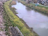 新大縄橋付近のカメラ画像