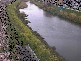 新大縄橋付近のカメラ画像