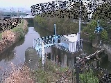 渋田川分水路 渋田新橋付近のカメラ画像