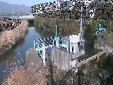 渋田川分水路 渋田新橋付近のカメラ画像