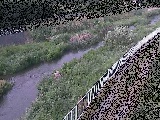 一ツ橋付近のカメラ画像