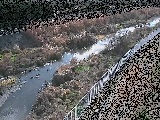 小出川 一ツ橋付近のカメラ画像