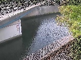 境川橋付近のカメラ画像
