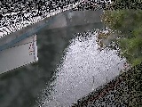 境川橋付近のカメラ画像