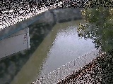 境川橋付近のカメラ画像