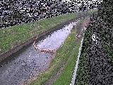 大清水橋付近のカメラ画像