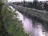 大平橋付近のカメラ画像