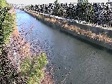 引地川 大平橋付近のカメラ画像