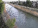大平橋付近のカメラ画像