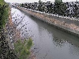 大平橋付近のカメラ画像