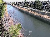 大平橋付近のカメラ画像