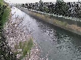 大平橋付近のカメラ画像