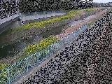 寒川橋付近のカメラ画像