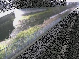 寒川橋付近のカメラ画像
