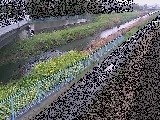 寒川橋付近のカメラ画像