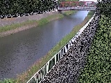 新鶴嶺橋付近のカメラ画像