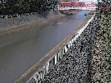 小出川 新鶴嶺橋付近のカメラ画像