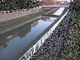 新鶴嶺橋付近のカメラ画像