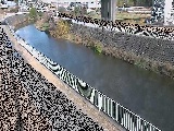 引地川 石川橋付近のカメラ画像