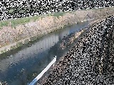 高鎌橋付近のカメラ画像