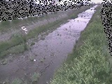 玉川 玉川橋付近のカメラ画像