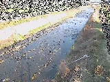 玉川橋付近のカメラ画像