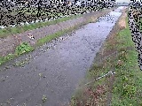 玉川橋付近のカメラ画像