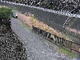 小鮎川 柳梅橋付近のカメラ画像
