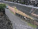 柳梅橋付近のカメラ画像