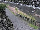 柳梅橋付近のカメラ画像