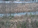 中津川 平山橋付近のカメラ画像